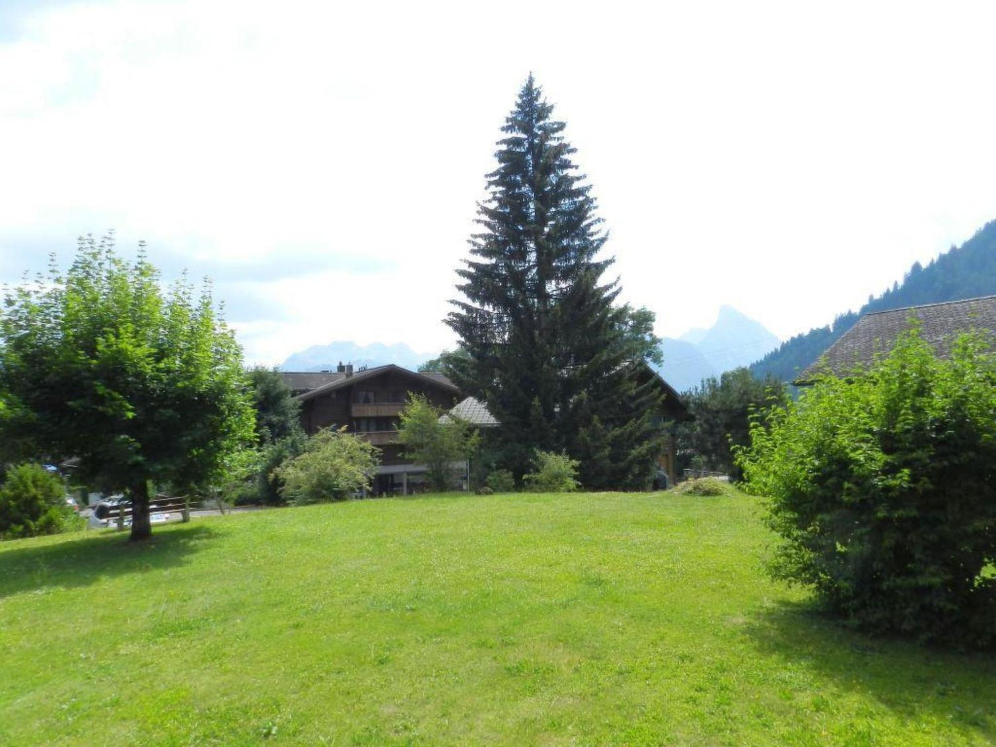 Apartment Monique Nr- 14 Gstaad Extérieur photo